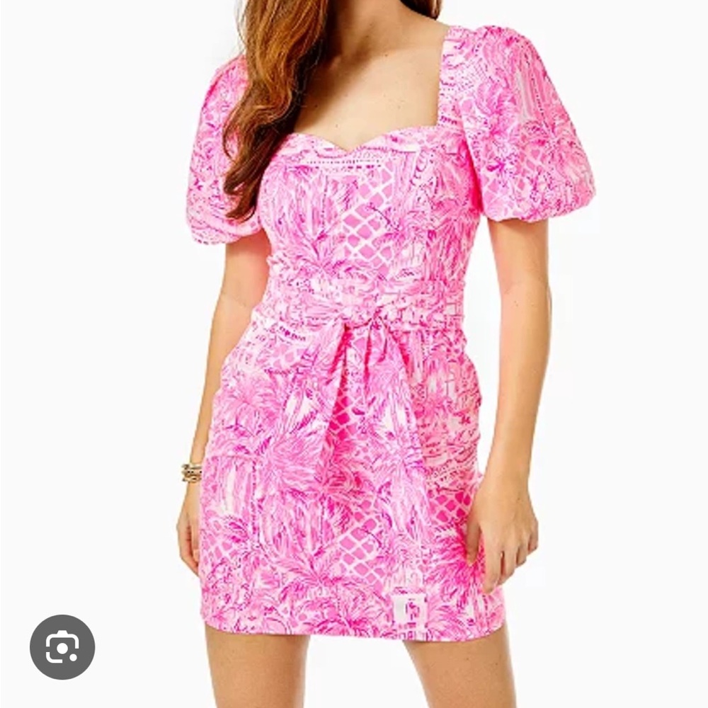 Lilly Pulitzer Merian Dress